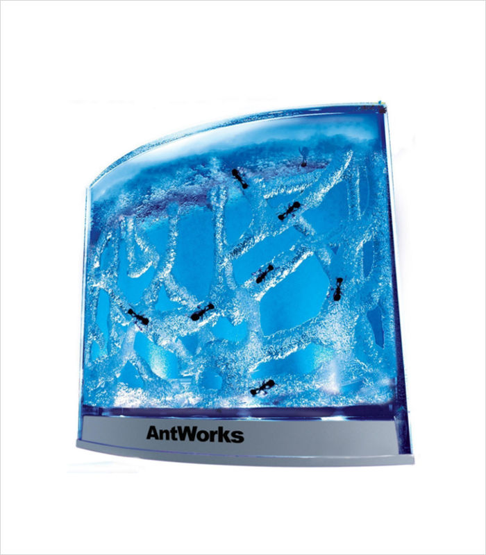 Science toys for kids - AntWorks