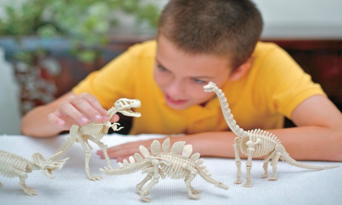 Top Dinosaur Skeleton Toy for Mini Paleontologists Who Dig Dinosaurs