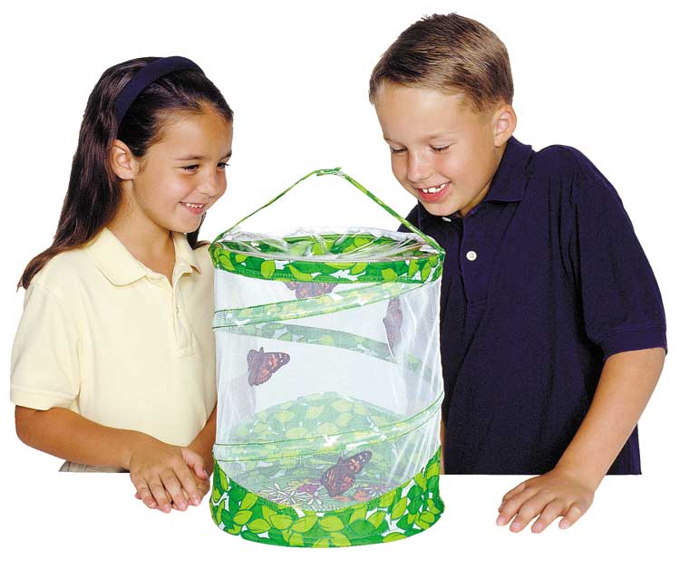 Insect Lore Butterfly Garden: Top Rated Butterfly Kit for Kids