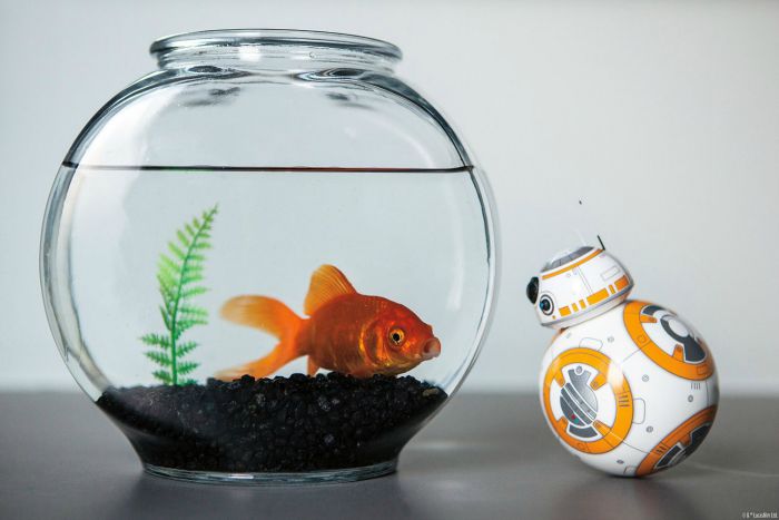 bb-8 star wars droid by sphero