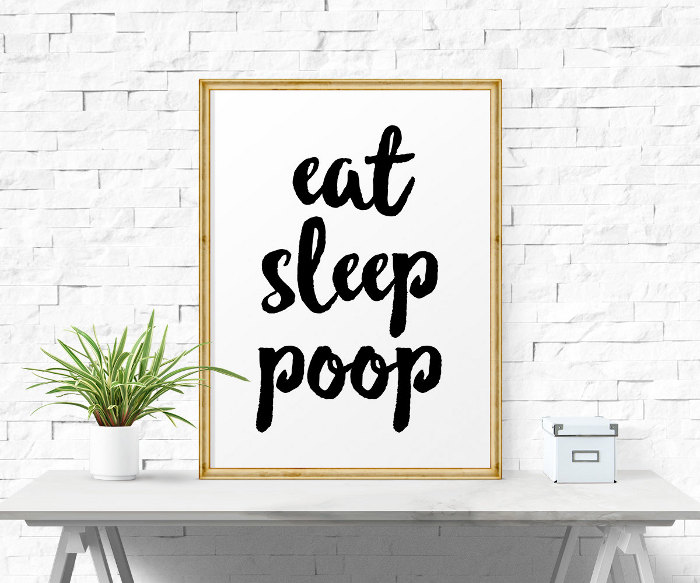 Poop gifts for kids of all ages - eat, sleep, poop printable