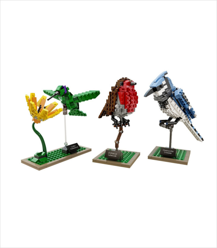 Coolest LEGO sets for kids - LEGO Ideas Birds Model Kit